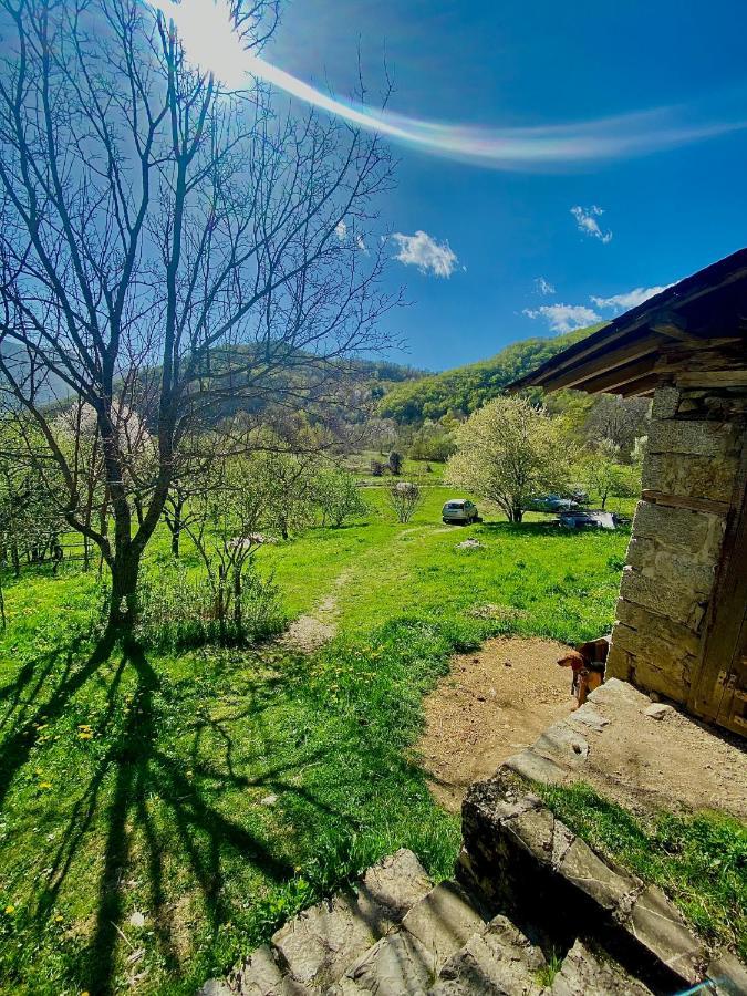 Cottage Modrich Struga Exterior foto