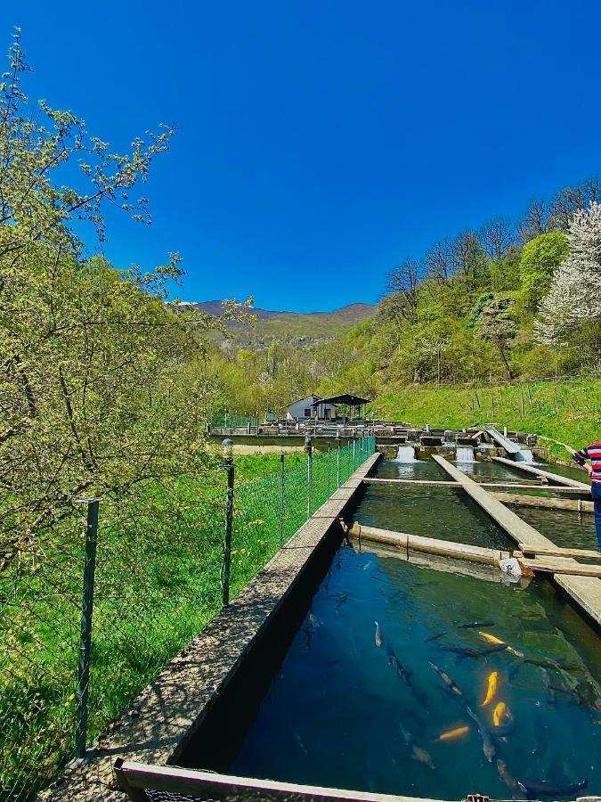 Cottage Modrich Struga Exterior foto