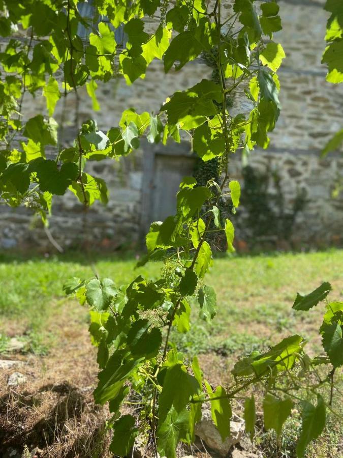 Cottage Modrich Struga Exterior foto